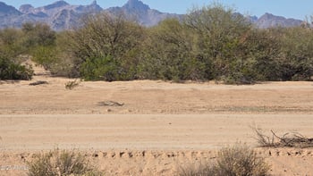 9XX 519th Ave #-, Tonopah, AZ 85354