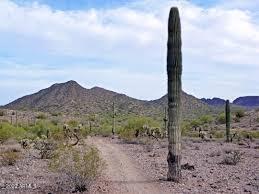 0 Bell Rd #4, Queen Creek, AZ 85144