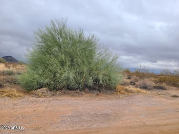 0 Campbell Ave #272, Tonopah, AZ 85354