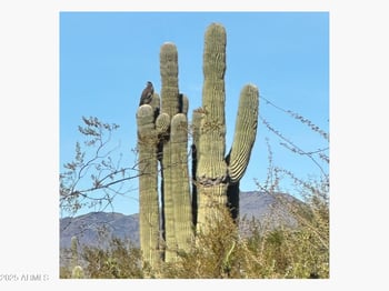 0 Cave Creek Rd #-, Carefree, AZ 85377