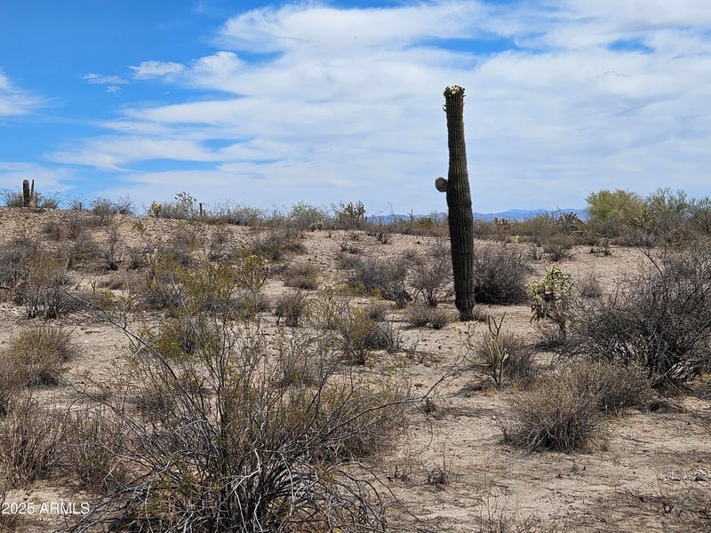 0 Dexileta Dr #141, Wittmann, AZ 85361