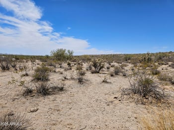 0 Dexileta Dr #141, Wittmann, AZ 85361