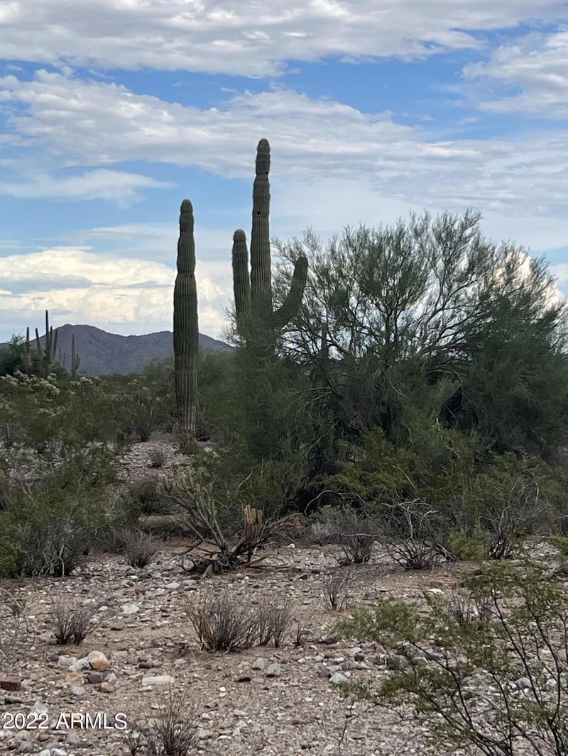 0 Dove Vly Rd #-, Phoenix, AZ 85085
