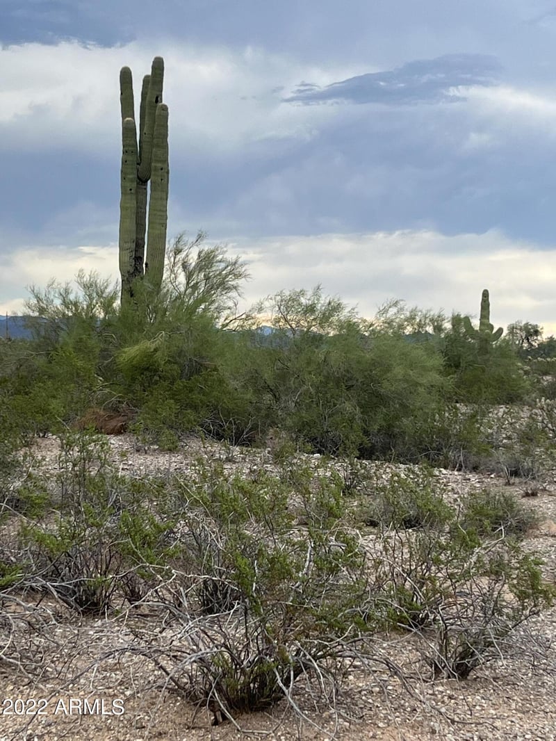 0 Dove Vly Rd #-, Phoenix, AZ 85085