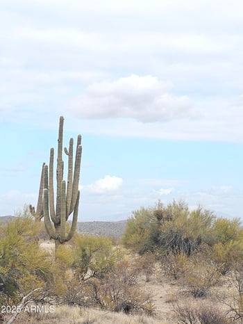 0 Hawknest Rd #-, Scottsdale, AZ 85262