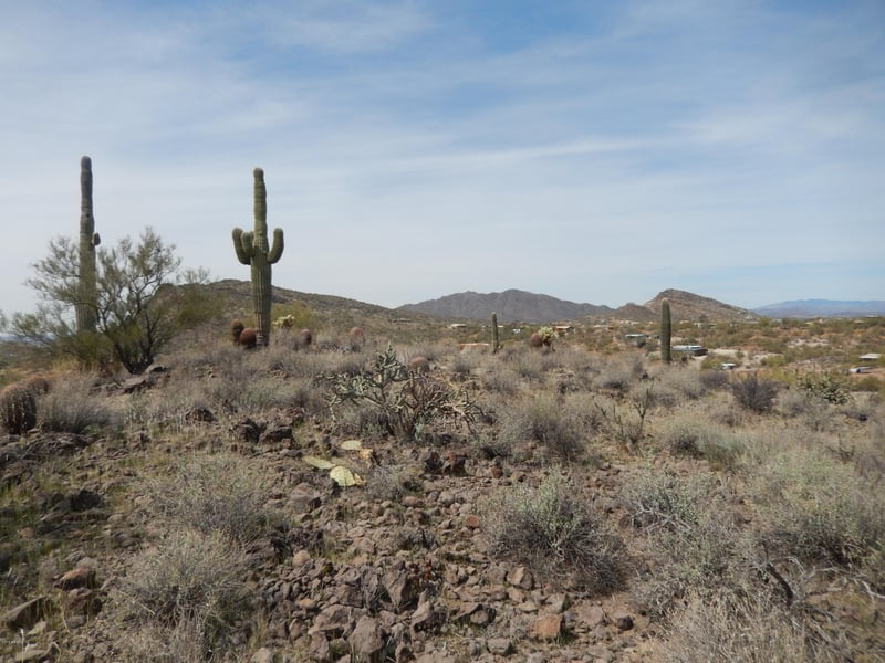 0 Honda Bow Rd #009K, Phoenix, AZ 85087