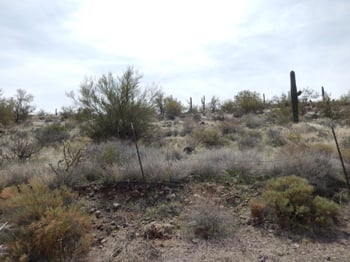0 Honda Bow Rd #009K, Phoenix, AZ 85087