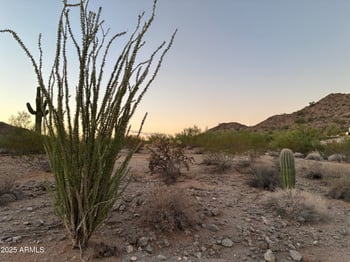 Hooper Trl #-, San Tan Valley, AZ 85143