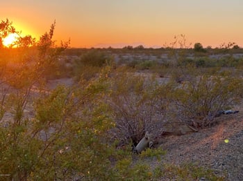 Johnson Rd -- #-, Buckeye, AZ 85326