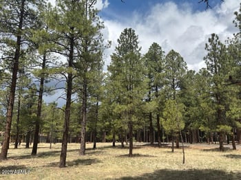 Lot 1 Hattie Greene -- #1, Flagstaff, AZ 86001