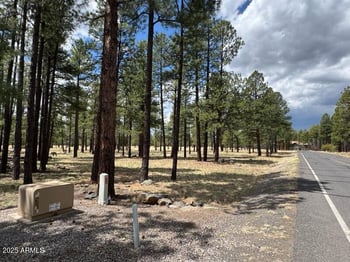 Lot 1 Hattie Greene -- #1, Flagstaff, AZ 86001