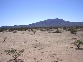 Lot 12 N 529th Ave #12, Aguila, AZ 85320
