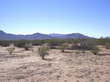 Lot 12 N 529th Ave #12, Aguila, AZ 85320