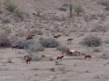 Lot 13-F Overdrive Rd #13-F, Fort Mcdowell, AZ 85264