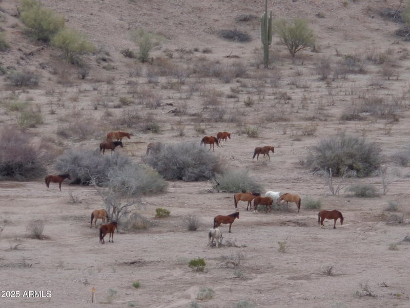 Lot 13-F Overdrive Rd #13-F, Fort Mcdowell, AZ 85264