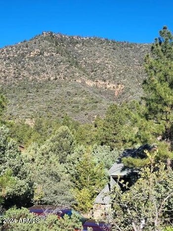 Lot 163 Portal Dr #163, Pine, AZ 85544