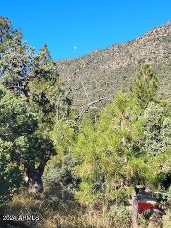 Lot 163 Portal Dr #163, Pine, AZ 85544