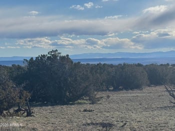 Lot 215 Woodland Valley Ranch -- #215, St Johns, AZ 85936