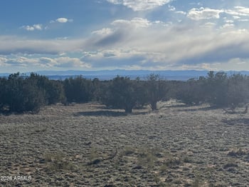 Lot 215 Woodland Valley Ranch -- #215, St Johns, AZ 85936