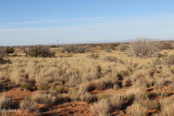 Lot 224 Ccr Unit 2 -- #224, Heber, AZ 85928