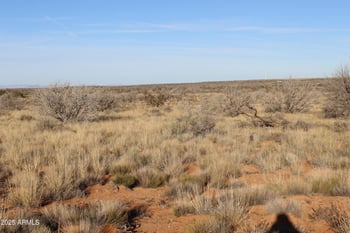 Lot 224 Ccr Unit 2 -- #224, Heber, AZ 85928