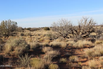 Lot 224 Ccr Unit 2 -- #224, Heber, AZ 85928