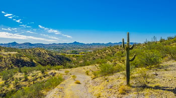 Lot 31 Giana Dr #31, Wickenburg, AZ 85390