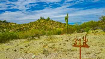 Lot 31 Giana Dr #31, Wickenburg, AZ 85390