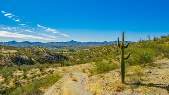 Lot 31 Giana Dr #31, Wickenburg, AZ 85390