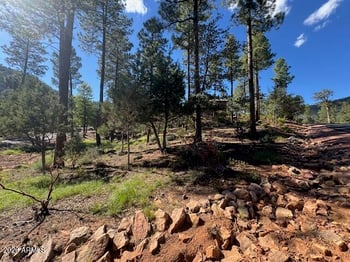 lot 33 Sage Ct #33, Pine, AZ 85544