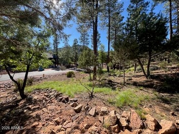 lot 33 Sage Ct #33, Pine, AZ 85544