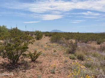 Lot 3940 Valladolid Dr #3940, Douglas, AZ 85607
