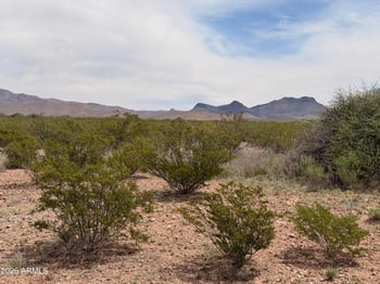 Lot 3969 Valladolid Dr #3969, Douglas, AZ 85607