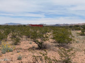 Lot 3969 Valladolid Dr #3969, Douglas, AZ 85607