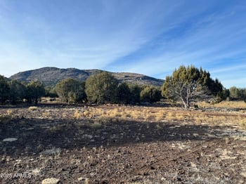 Lot 62 Westwood Ranches Rd #62, Williams, AZ 86046