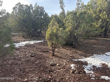 Lot 86 Ricks Rd #86, Vernon, AZ 85940