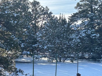 Lot 86 Ricks Rd #86, Vernon, AZ 85940