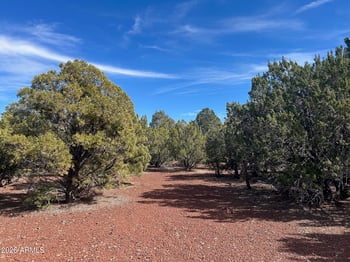 Lot 86 Ricks Rd #86, Vernon, AZ 85940