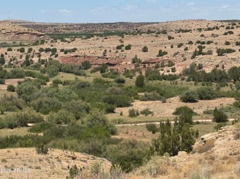 Lot 95 River Springs Ranch -- #095, St Johns, AZ 85936