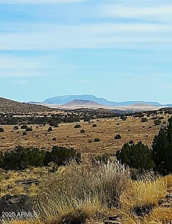 Lot 95 River Springs Ranch -- #095, St Johns, AZ 85936