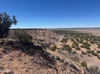 Lot 96 Bonito Valley Ranch -- #96, St Johns, AZ 85936