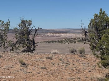 Lot 96 Bonito Valley Ranch -- #96, St Johns, AZ 85936