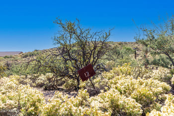 0 Manana Rd #12, Cave Creek, AZ 85331