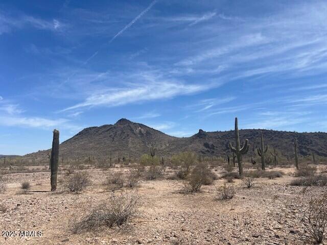 NNEC 391st Mountain View Rd #-, Tonopah, AZ 85354