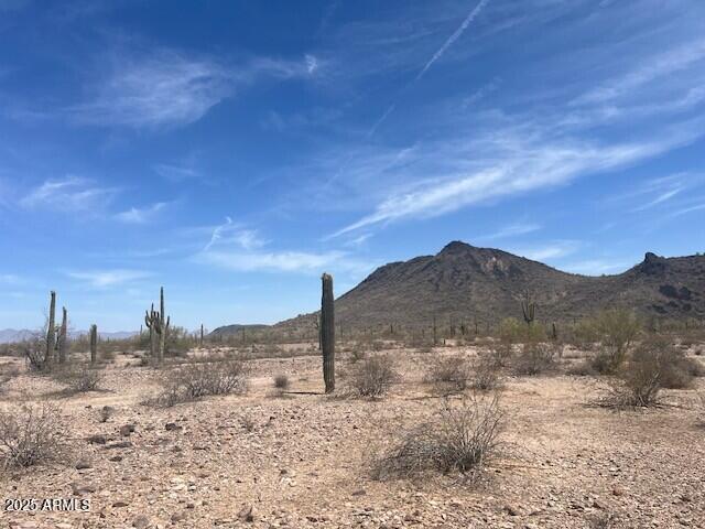 NNEC 391st Mountain View Rd #-, Tonopah, AZ 85354