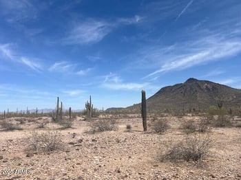 NNEC 391st Mountain View Rd #-, Tonopah, AZ 85354