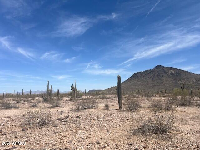 NNEC 391st Mountain View Rd #-, Tonopah, AZ 85354