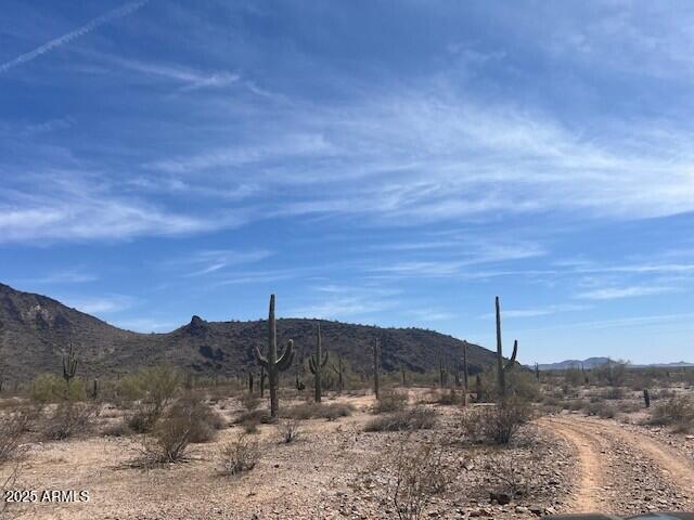 NNEC 391st Mountain View Rd #-, Tonopah, AZ 85354