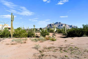 parcel N 100 06 001e Rd #-, Apache Junction, AZ 85119