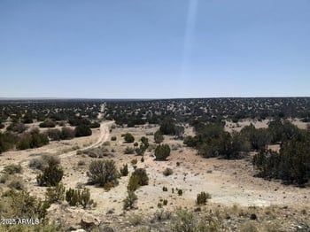 SE 10 Acre 17xx Buffington Hill Rd #-, Heber, AZ 85928